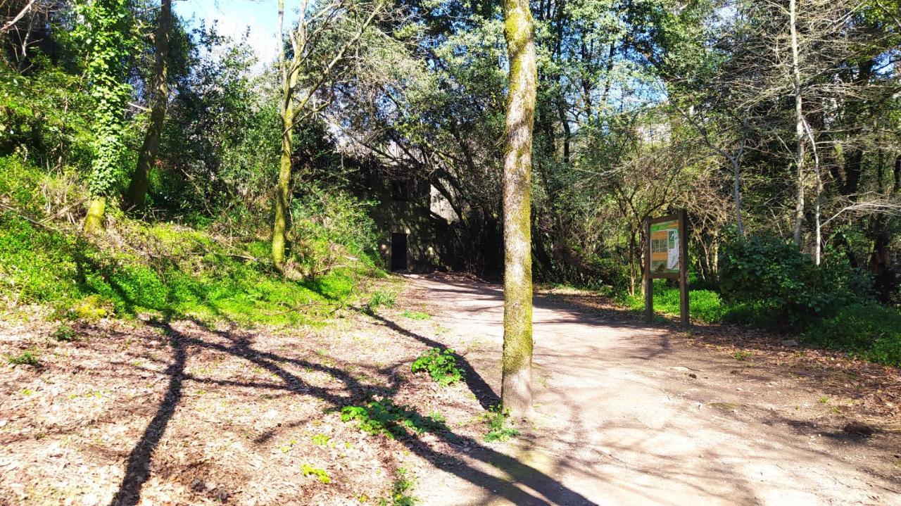 Vila Wasi Compostela Santiago de Compostela Exteriér fotografie